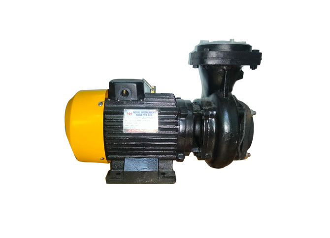Royal India 3HP Monoblock Pump Set